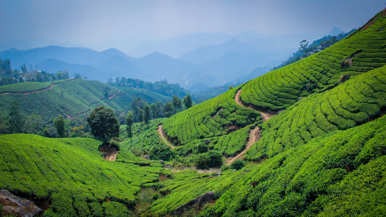 Kerala Honeymoon Tour Packages